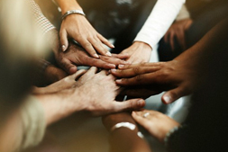 Đội ngũ nhân sự